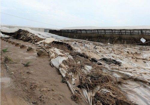 La Junta abona 7,6M€ en ayudas a los seguros agrarios dos meses después de abrir la convocatoria