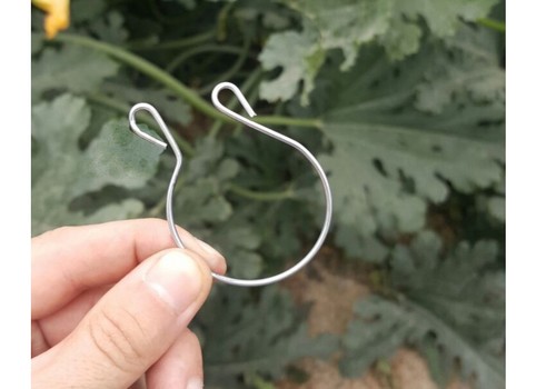 La empresa C.Navalón fabrica clips ajustables a cada hortícola
