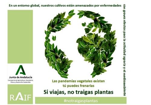 La Junta pide colaboración a los andaluces para evitar plagas perjudiciales para el campo