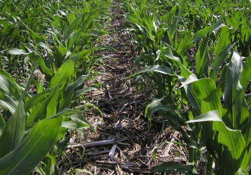La Agricultura de Conservación como respuesta del sector agrícola ante una situación de emergencia climática
