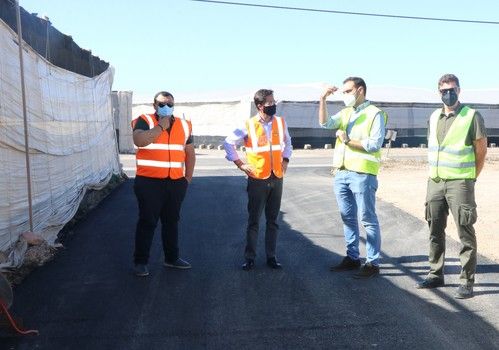 El Ejido continúa liderando la provincia con más de 13.000 hectáreas invernadas