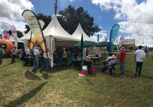 ICL comparte el éxito de Agroglobal 2021 con su distribuidor en Portugal Liscampo