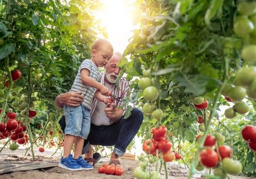 Agroponiente inicia una nueva campaña en la que la atención al agricultor se verá redoblada de diferentes maneras