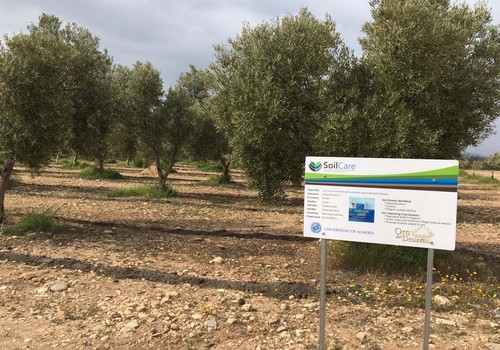 Finaliza con éxito el proyecto SoilCare de la UAL para mejorar la rentabilidad y sostenibilidad de la agricultura