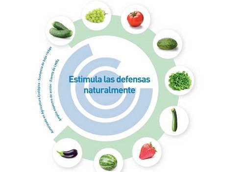 Romeo, fungicida biológico que estimula  las defensas naturales de la planta