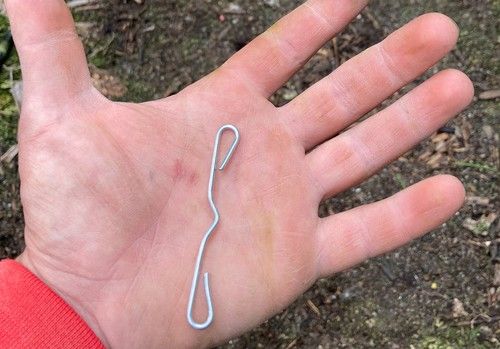 La calidad del material define un entutorado de éxito del cultivo