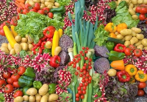 Almería mantiene su liderazgo agroalimentario con un 28% de las exportaciones andaluzas