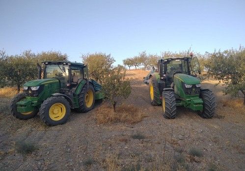 La cosecha de almendra en Almería cae un 60%