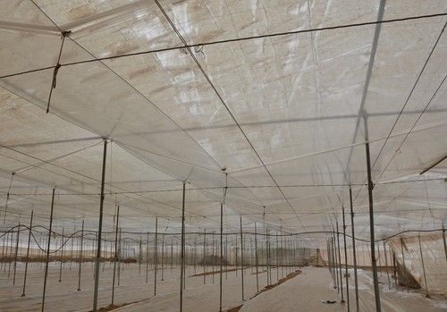 Las dobles cámaras ayudan a lograr cultivos más sanos y con más producción