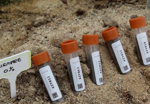 CASI,  Universidad de Almería y Nostoc presentan un ensayo pionero en fertilización microbiológica como alternativa al uso de fertilizantes sintéticos