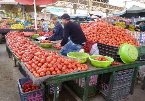 El Tribunal General de la UE anula los acuerdos pesqueros y agrícolas con Marruecos que incluyen al Sáhara Occidental