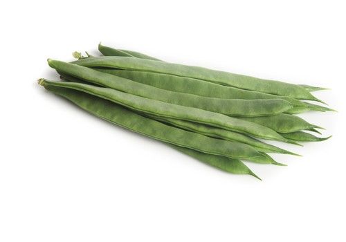 Greentense®, la judía de Rijk Zwaan con sabor dulce y excelente conservación