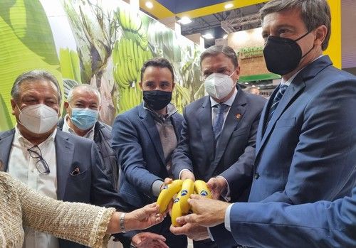 Planas afirma que Fruit Attraction es una gran oportunidad para dar visibilidad internacional al sector hortofrutícola y conseguir su reactivación comercial