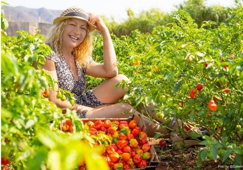 “Acercamos los sabores de Brasil al paladar europeo con las hortalizas cultivadas  en el corazón de Cabo de Gata”