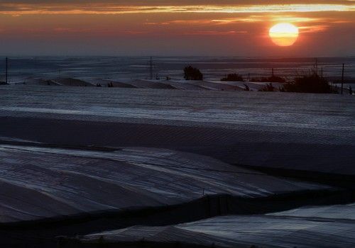 La Mesa del Agua de Almería muestra su “máxima preocupación” ante la falta de recursos en el inicio del año hidrológico 2021/22