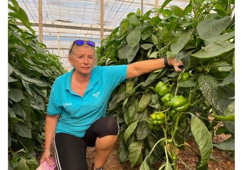 LM INNOVATION ya está proporcionando al agricultor ahorro en el riego de sus invernaderos
