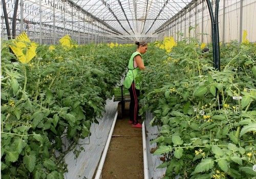 El Ministerio de Agricultura concede la XII edición de los Premios de Excelencia a la Innovación para Mujeres Rurales