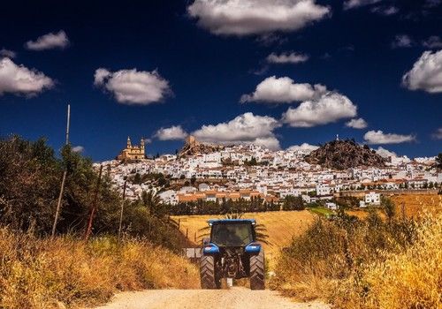 La Consejería de Agricultura inicia el pago de 845,8 millones de euros de anticipo de la PAC