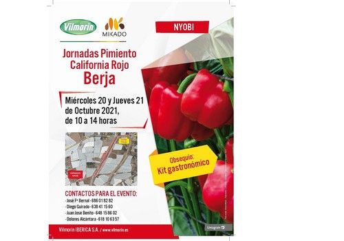 Vilmorin muestra la gran calidad de su California Rojo, Nyobi, los días 20 y 21 de octubre