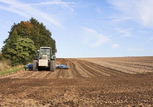 El encarecimiento de los costes de producción ahoga al sector agrario