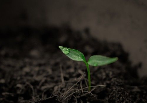 La Junta recuerda que en noviembre comienzan los tres meses de prohibición de aplicar lodos de depuradora a suelos agrícolas