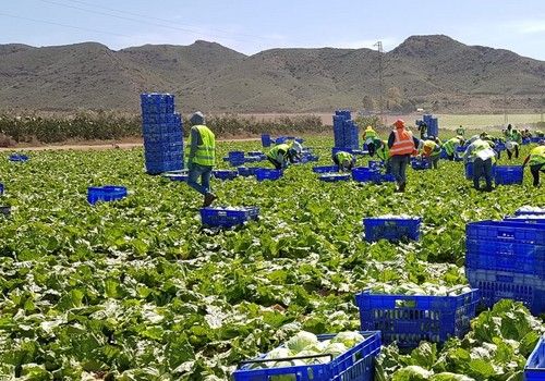 El Gobierno destinará 345 millones de euros hasta 2023 para fomentar la competitividad, la modernización y bioseguridad del sector agrario