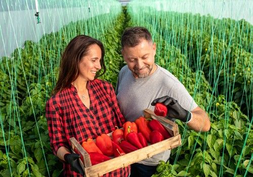 La producción ecológica como herramienta para reducir la huella ambiental y garantizar el acceso a productos alimentarios sostenibles y controlados