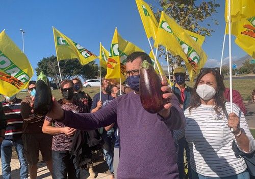 COAG-Almería denuncia la venta de fruta y verdura en descomposición en los supermercados