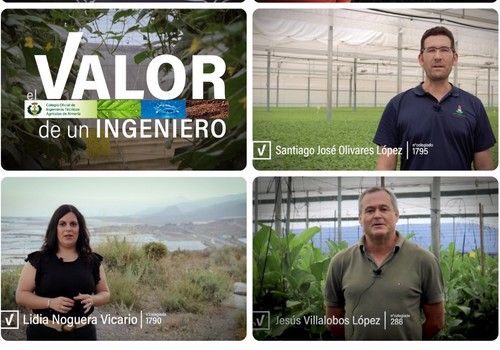 El Colegio de Ingenieros Técnicos Agrícolas  de Almería convoca la concesión del  distintivo C-ITA