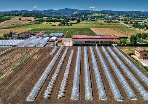 Mitsui & Co alcanza un acuerdo para la adquisición del 100% de las acciones de ISI Sementi SPA