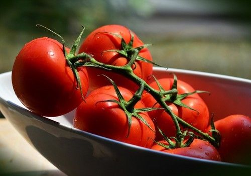 Los tomates suben de precio, pero bajan los pepinos en la semana 47 del año