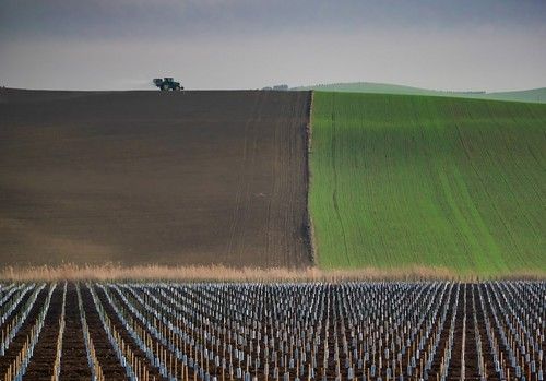 La Junta adelanta el pago de cerca de un millón de euros en ayudas a seguros agrarios previstas para 2022
