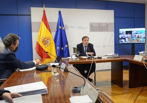 Luis Planas informa a los consejeros y consejeras de las comunidades autónomas del estado del Plan Estratégico de la PAC