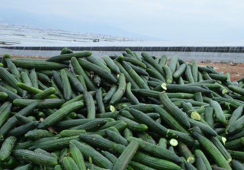 Agricultura atiende una petición del campo de “hace 10 años” al avanzar en el marco jurídico para implantar la extensión de norma