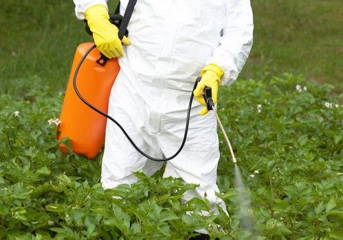 RETO, una locura más para el campo