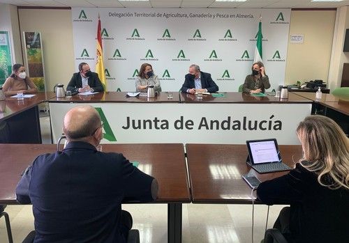 Agricultura y Hortyfruta avanzan en el desarrollo de la extensión de norma tras aprobarse en el Parlamento el Decreto de Simplificación