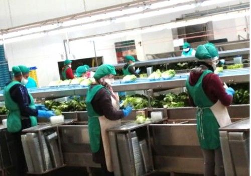 COEXPHAL pide al presidente de la Junta de Andalucía establecer el pasaporte COVID en los centros de trabajo de sus empresas