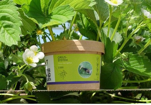 El Orius-System mejora su rendimiento en España con el nuevo envase biodegradable