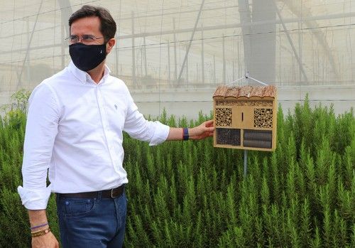 El Ejido continúa la tendencia al alza en el número de licencias para la modernización, rehabilitación y construcción de nuevos invernaderos