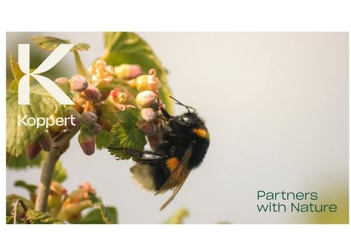  Koppert lanza nueva imagen de marca inspirada en la Naturaleza