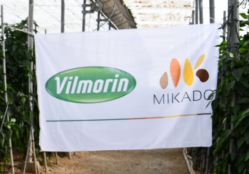 Vilmorin Ibérica cambia su nombre a Vilmorin-Mikado Ibérica