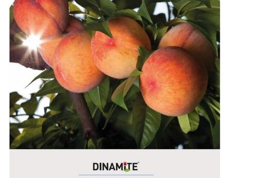 Certis obtiene una ampliación a frutales de cáscara para el acaricida Dinamite®