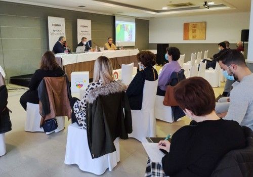 Nuevo Área de Sostenibilidad en COEXPHAL para impulsar la competitividad y el desarrollo sostenible del sector