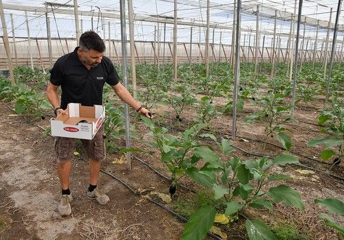 Vicasol participa en un proyecto de I+D+i para la desinfección y reutilización del agua de riego