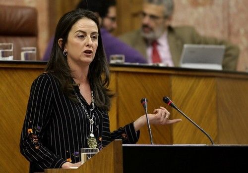 La Junta reclama al Ministerio la reducción del IRPF ante la grave crisis por la que atraviesa el sector agrícola