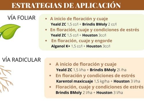 Nutrientes de Kenogard, soluciones para floración, cuaje y calidad de frutos