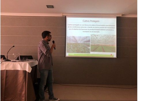 Ginegar presenta Luminor, la cubierta de alta difusión de luz especial para semilleros