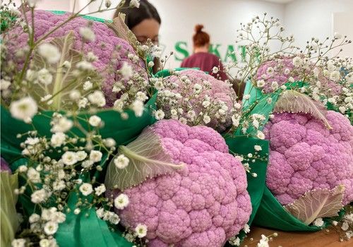 Sakata Seed presenta su plan de igualdad empresarial