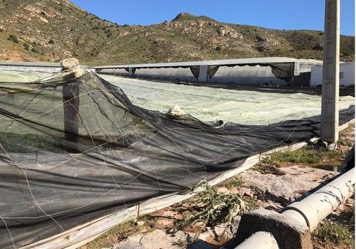 El Gobierno adopta medidas para garantizar la estabilidad del sistema de seguros agrarios