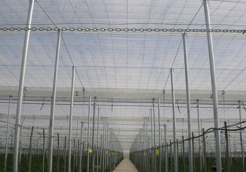 El precio de la cubierta de invernaderos sube un 47% respecto a 2021